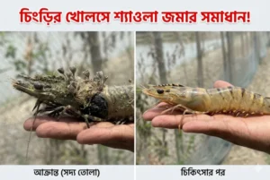 external-fouling-treatment