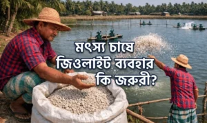 zeolite-fish-farming