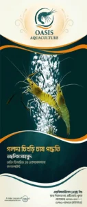 freshwater-prawn-farming-by-taslim-mahmood