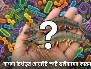 causes-of-wssv-in-shrimp